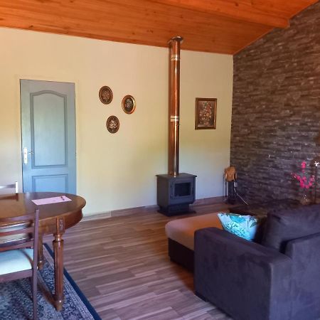 O Ninho Do Rei Διαμέρισμα Vila de Rei Εξωτερικό φωτογραφία