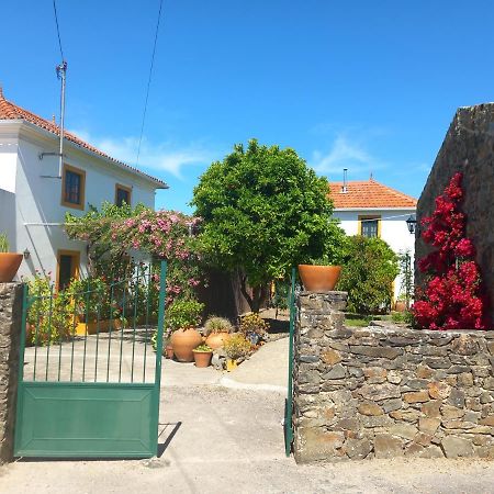 O Ninho Do Rei Διαμέρισμα Vila de Rei Εξωτερικό φωτογραφία