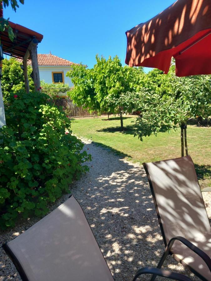 O Ninho Do Rei Διαμέρισμα Vila de Rei Εξωτερικό φωτογραφία