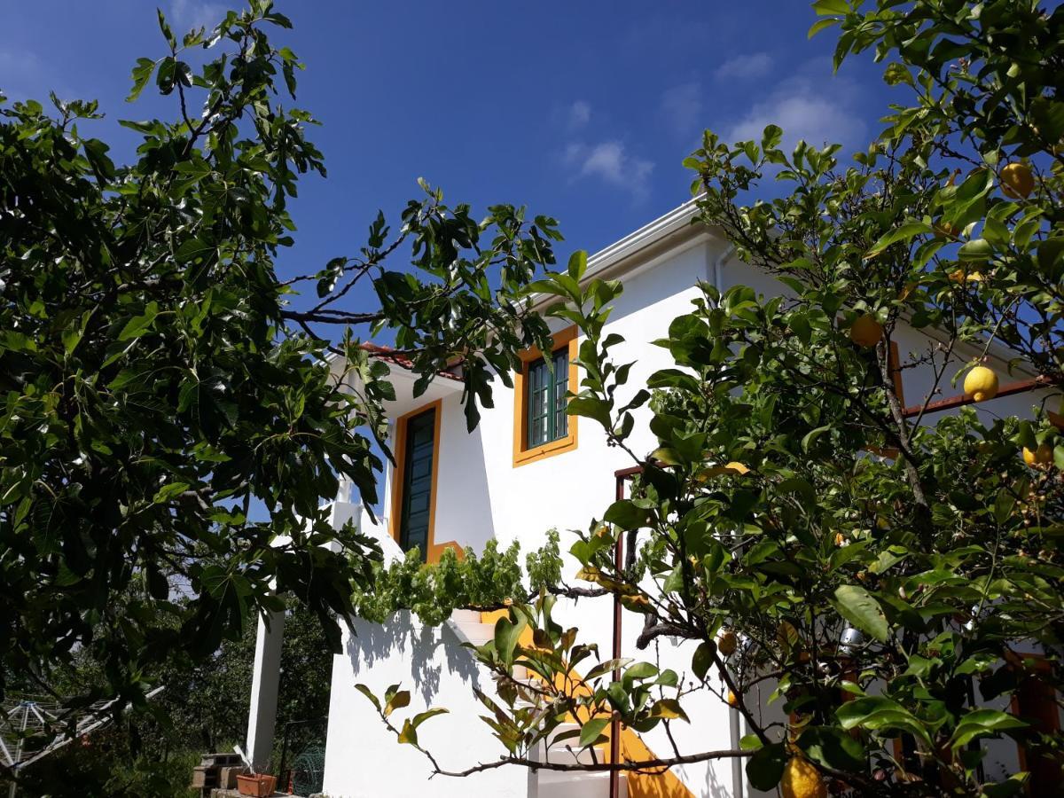 O Ninho Do Rei Διαμέρισμα Vila de Rei Εξωτερικό φωτογραφία